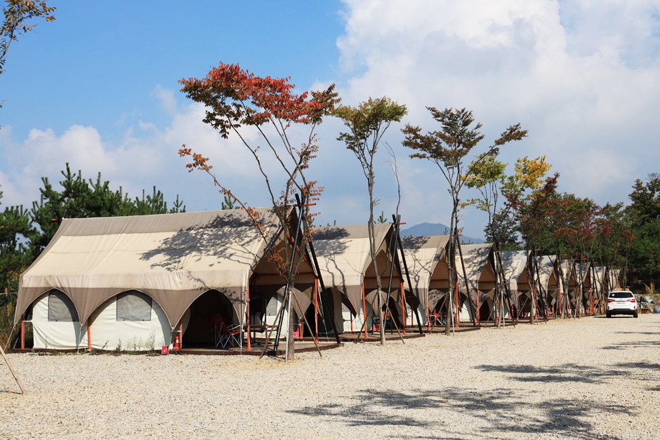 단단한 감자 상자와 덜 익은 키위 바구니에 사과 한 알을 함께 넣어 둔 모습