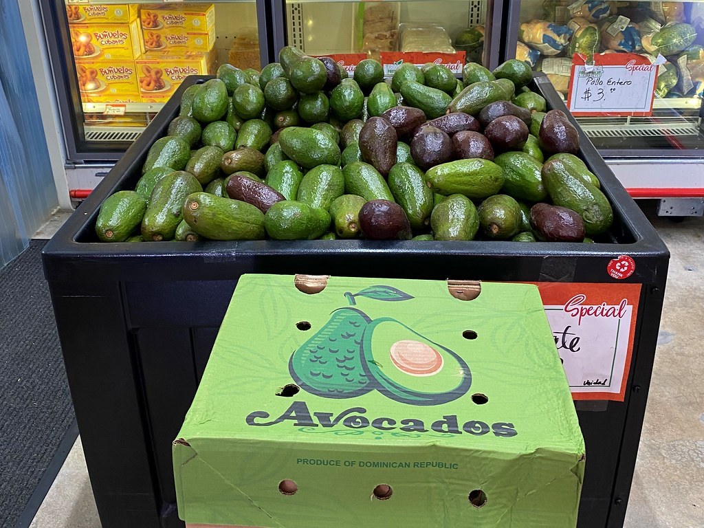 단단한 감자 상자와 덜 익은 키위 바구니에 사과 한 알을 함께 넣어 둔 모습